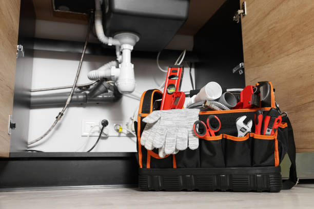 Best Clogged Drain Plumber  in Armada, MI